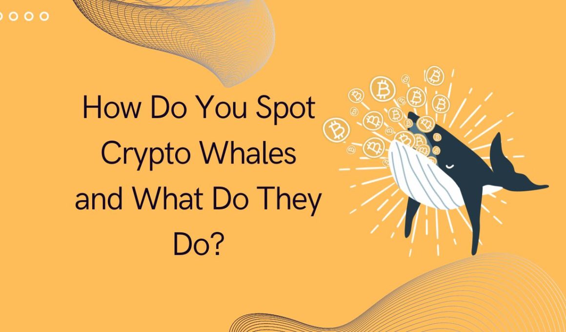 How Do You Spot Crypto Whales and What Do They Do