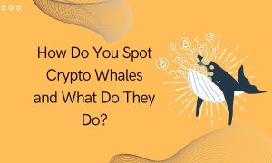 How Do You Spot Crypto Whales and What Do They Do