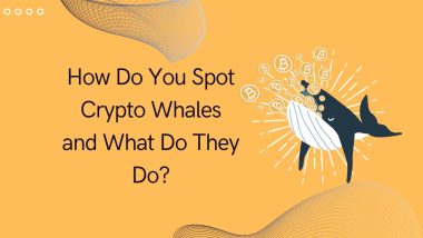 How Do You Spot Crypto Whales and What Do They Do