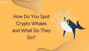 How Do You Spot Crypto Whales and What Do They Do